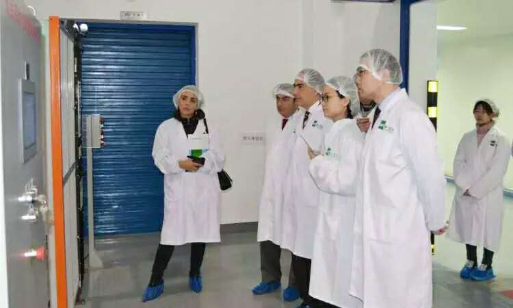 千亿·国际(中国)唯一官方网站