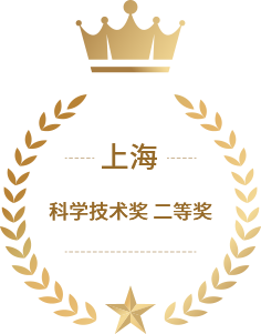 上海市科学手艺奖<br>二等奖
